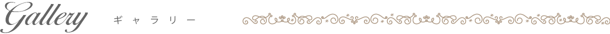 ギャラリー